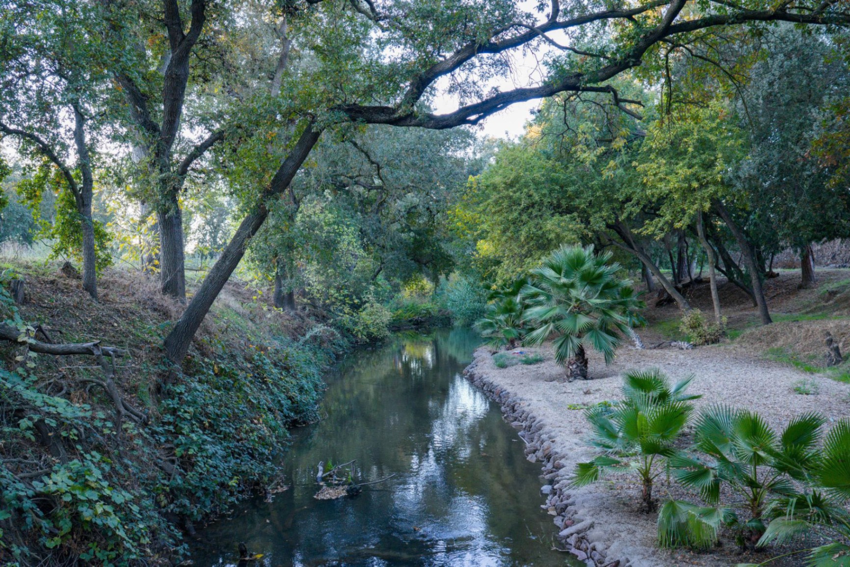 Creek running through the estate grounds